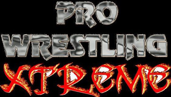 USA Pro Wrestling 08/31/13 WrestleFest 2013 Результаты