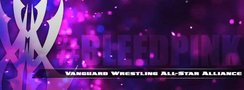 Vanguard Wrestling All-Star Alliance: Last Stop 06.10.13 Результаты